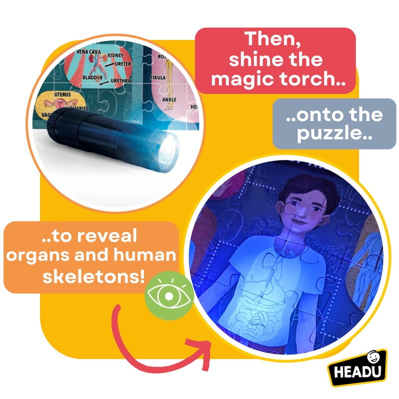 Headu The Human Body Under X-Ray â€“ Kids Learning Toys Ages 6-10, Educational STEM Toys for Ages 6 7 8 9 10 Year Old Boys Girls, Anatomy Puzzles, 1st Grade Learning Activities, Classroom Must Haves - Image 5